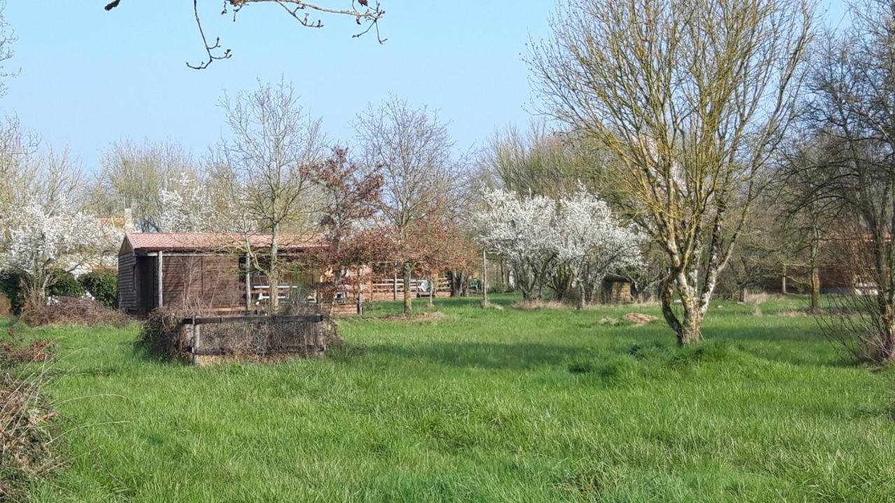 Le Domaine De La Barre Saint Michel Ξενοδοχείο Gourgé Εξωτερικό φωτογραφία