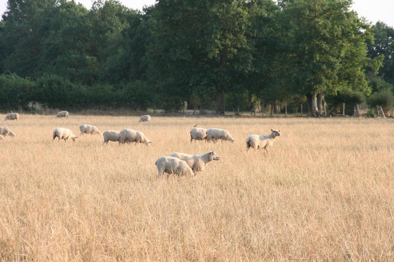 Le Domaine De La Barre Saint Michel Ξενοδοχείο Gourgé Εξωτερικό φωτογραφία